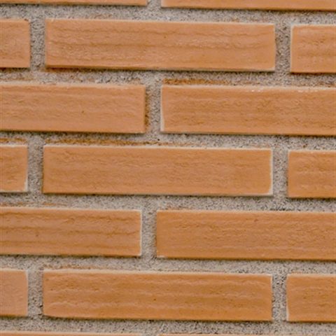 Brick Ladrillo Caravista, Paneel